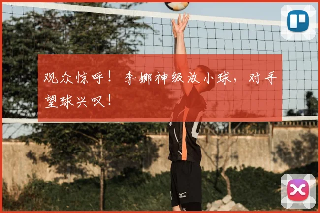 观众惊呼!李娜神级放小球,对手望球兴叹!