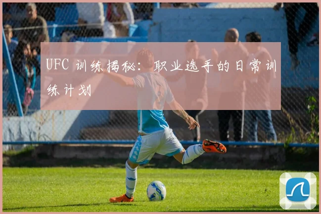 UFC 训练揭秘：职业选手的日常训练计划