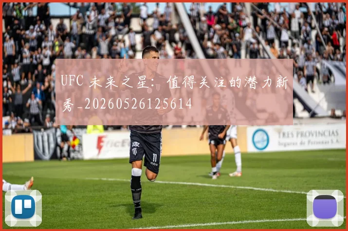 UFC 未来之星：值得关注的潜力新秀_20260526125614