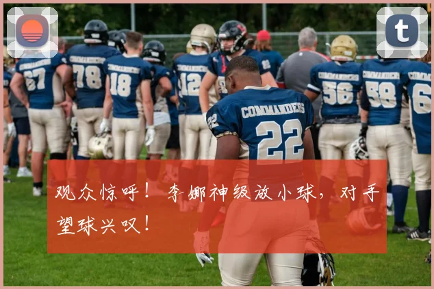 观众惊呼！李娜神级放小球，对手望球兴叹！