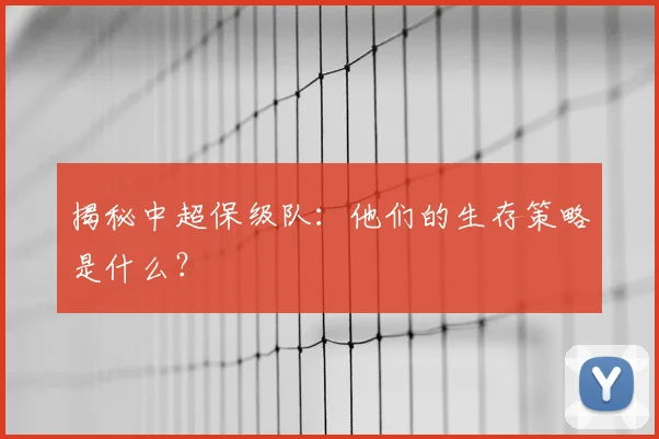 揭秘中超保级队：他们的生存策略是什么？