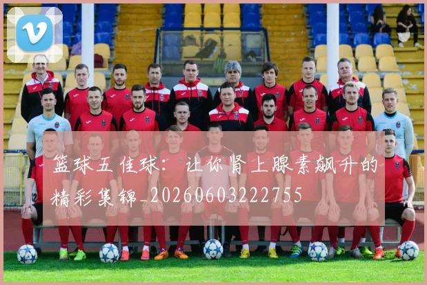 篮球五佳球：让你肾上腺素飙升的精彩集锦_20260603222755