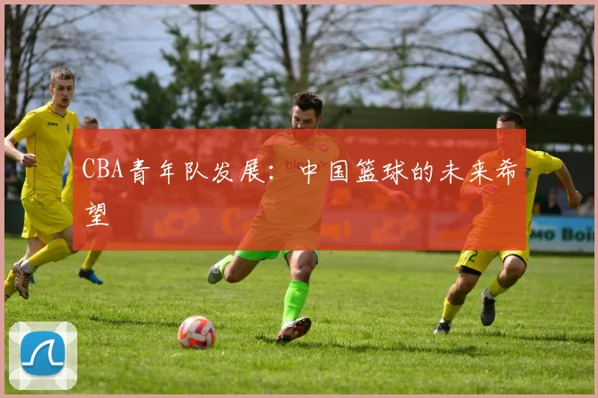 CBA青年队发展：中国篮球的未来希望